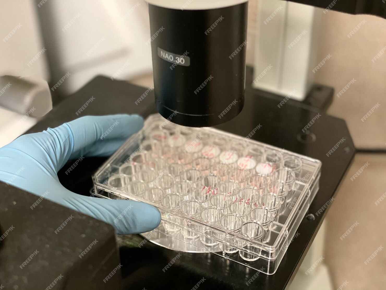 Vi-CELL BLU Cell Viability Analyzer (Via-analyzer)
